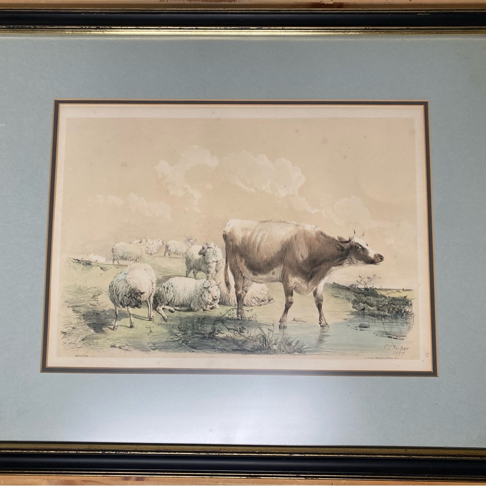 Grazing 19th c. lithograph + frame by Thomas Sidney Cooper